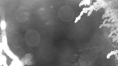 immagine della webcam nei dintorni di Roncone: webcam Zuclo