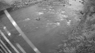 immagine della webcam nei dintorni di Caderzone: webcam Zuclo