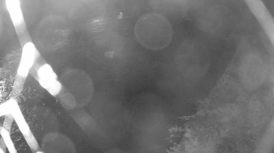 immagine della webcam nei dintorni di Carisolo: webcam Zuclo