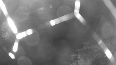 immagine della webcam nei dintorni di Caderzone: webcam Zuclo