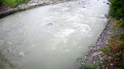 immagine della webcam nei dintorni di Pinzolo: webcam Zuclo