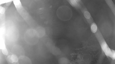 immagine della webcam nei dintorni di Dorsino: webcam Zuclo