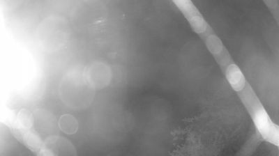immagine della webcam nei dintorni di Fiavè: webcam Zuclo
