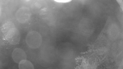 immagine della webcam nei dintorni di Riva del Garda: webcam Zuclo