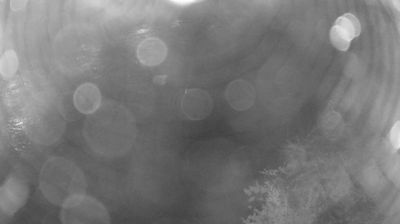 immagine della webcam nei dintorni di Riva del Garda: webcam Zuclo