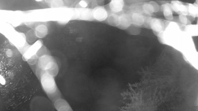 immagine della webcam nei dintorni di Dro: webcam Zuclo