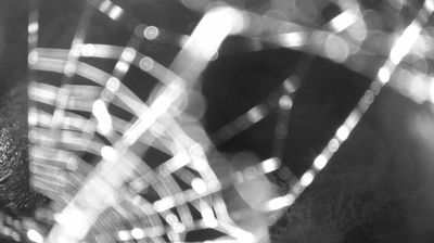 immagine della webcam nei dintorni di Bondone: webcam Zuclo