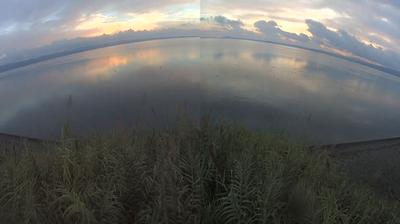 immagine della webcam nei dintorni di San Martino al Cimino: webcam Bolsena