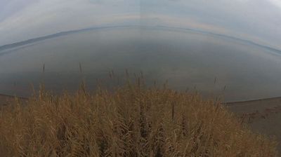 immagine della webcam nei dintorni di Castell'Azzara: webcam Bolsena