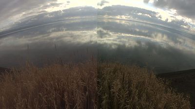 immagine della webcam nei dintorni di Lubriano: webcam Bolsena