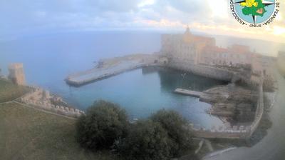 immagine della webcam nei dintorni di Seccheto: webcam Isola di Pianosa