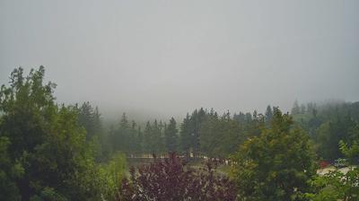 immagine della webcam nei dintorni di Mercato: webcam Bagno di Romagna