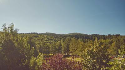 immagine della webcam nei dintorni di Campigna: webcam Bagno di Romagna