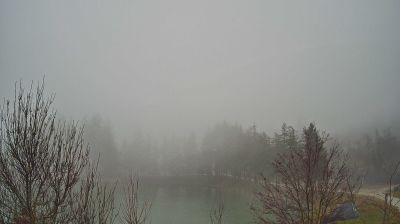 immagine della webcam nei dintorni di Caprese Michelangelo: webcam Bagno di Romagna