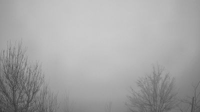 immagine della webcam nei dintorni di Caprese Michelangelo: webcam Bagno di Romagna