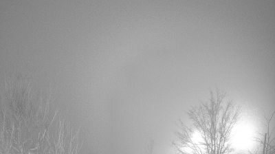 immagine della webcam nei dintorni di Pratovecchio: webcam Bagno di Romagna