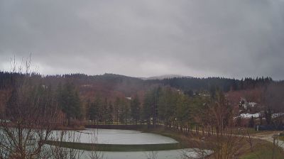 immagine della webcam nei dintorni di Campigna: webcam Bagno di Romagna