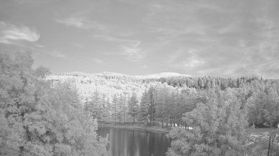 immagine della webcam nei dintorni di Eremo di Camaldoli: webcam Bagno di Romagna
