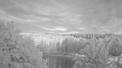 immagine della webcam nei dintorni di Eremo di Camaldoli: webcam Bagno di Romagna