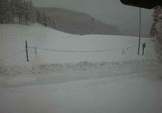 immagine della webcam nei dintorni di Gressoney-la-Trinitè: webcam Chamois