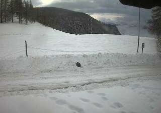 immagine della webcam nei dintorni di Cervinia Plateau Rosa: webcam Chamois