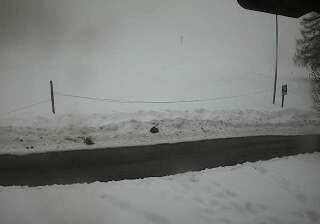 immagine della webcam nei dintorni di Aosta: webcam Chamois