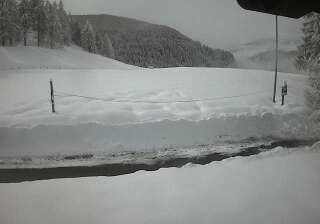 immagine della webcam nei dintorni di Staffal: webcam Chamois
