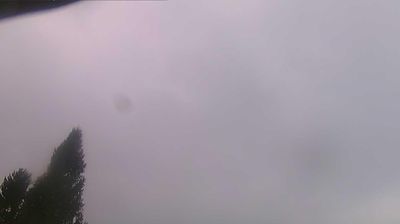 immagine della webcam nei dintorni di Affi: webcam Ferrara di Monte Baldo