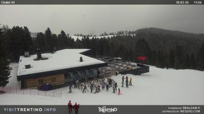 immagine della webcam nei dintorni di Pampeago: webcam Bellamonte