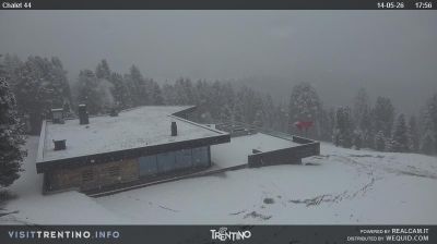 immagine della webcam nei dintorni di Primiero San Martino di Castrozza: webcam Bellamonte