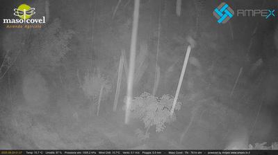 immagine della webcam nei dintorni di Selva di Progno: webcam Vallarsa