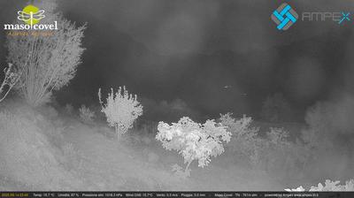 immagine della webcam nei dintorni di Passo Coe: webcam Vallarsa