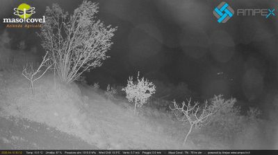 immagine della webcam nei dintorni di Passo delle Fittanze: webcam Vallarsa