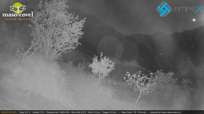 immagine della webcam nei dintorni di Malga San Giorgio: webcam Vallarsa