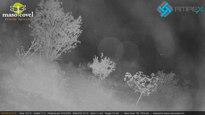 immagine della webcam nei dintorni di Valli del Pasubio: webcam Vallarsa