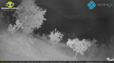 immagine della webcam nei dintorni di Mori: webcam Vallarsa