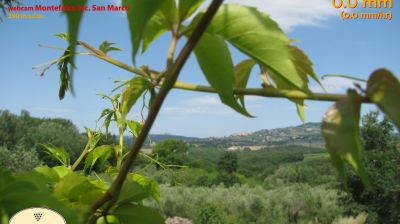 immagine della webcam nei dintorni di Assisi: webcam Montefalco