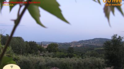 immagine della webcam nei dintorni di Assisi: webcam Montefalco