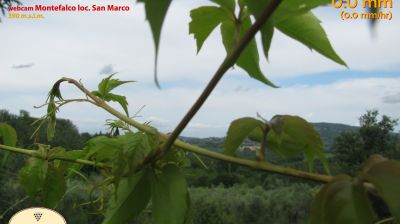 immagine della webcam nei dintorni di Serravalle di Chienti: webcam Montefalco