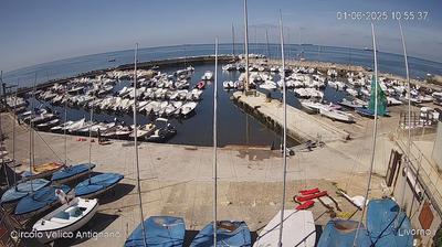 immagine della webcam nei dintorni di Putignano: webcam Livorno