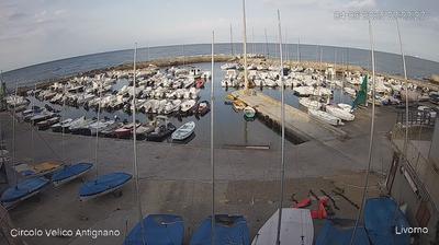 immagine della webcam nei dintorni di Coltano: webcam Livorno