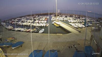 immagine della webcam nei dintorni di Rosignano Marittimo: webcam Antignano