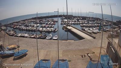 immagine della webcam nei dintorni di Montenero: webcam Antignano