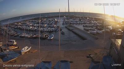 immagine della webcam nei dintorni di Cecina: webcam Antignano