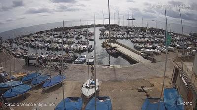 immagine della webcam nei dintorni di Marina Di Cecina: webcam Antignano