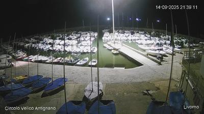 immagine della webcam nei dintorni di Marina Di Cecina: webcam Antignano