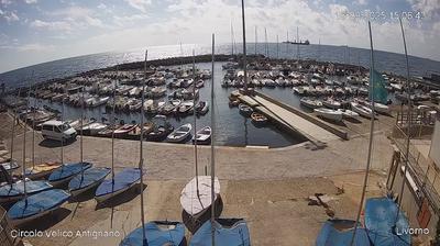 immagine della webcam nei dintorni di Rosignano Marittimo: webcam Antignano