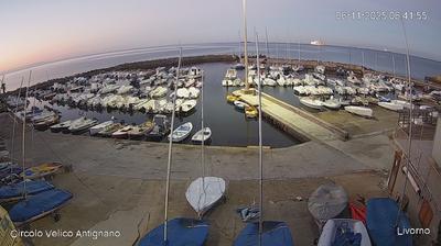 immagine della webcam nei dintorni di Vada: webcam Antignano