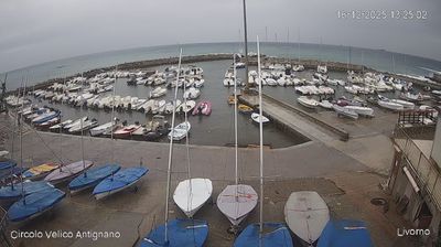 immagine della webcam nei dintorni di Pisa: webcam Livorno
