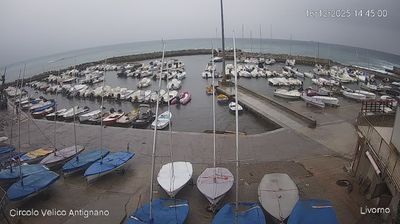 immagine della webcam nei dintorni di Pisa: webcam Livorno